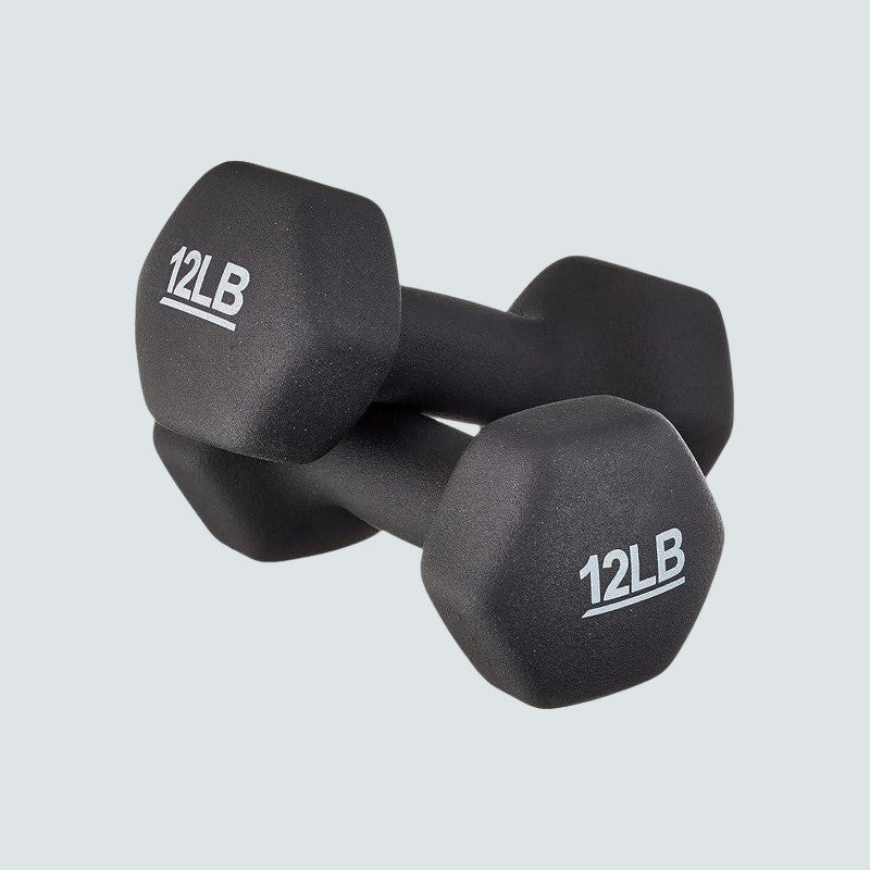 Pair of black dumbbells with '12LB' marking on a light gray background